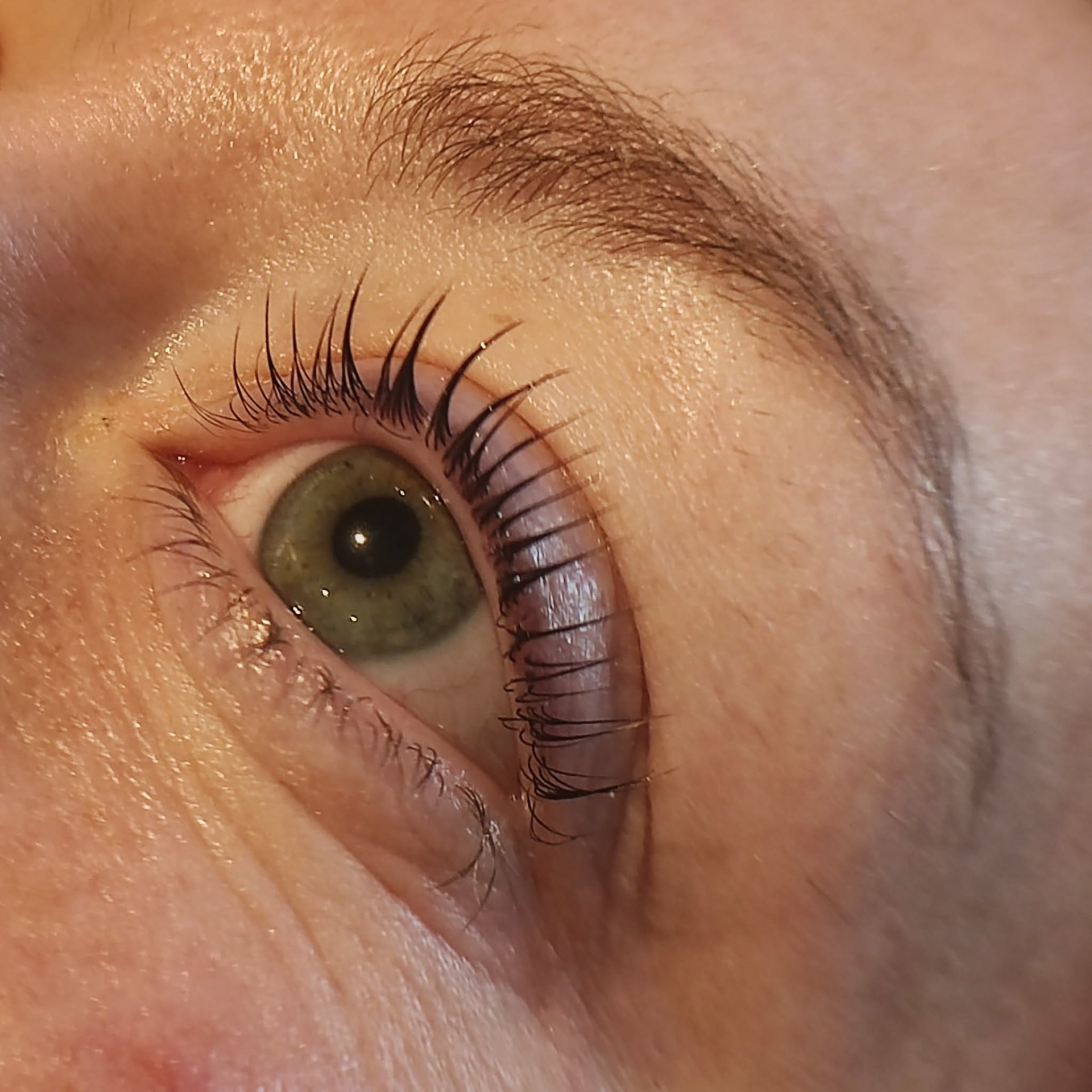 Brows & Lashes